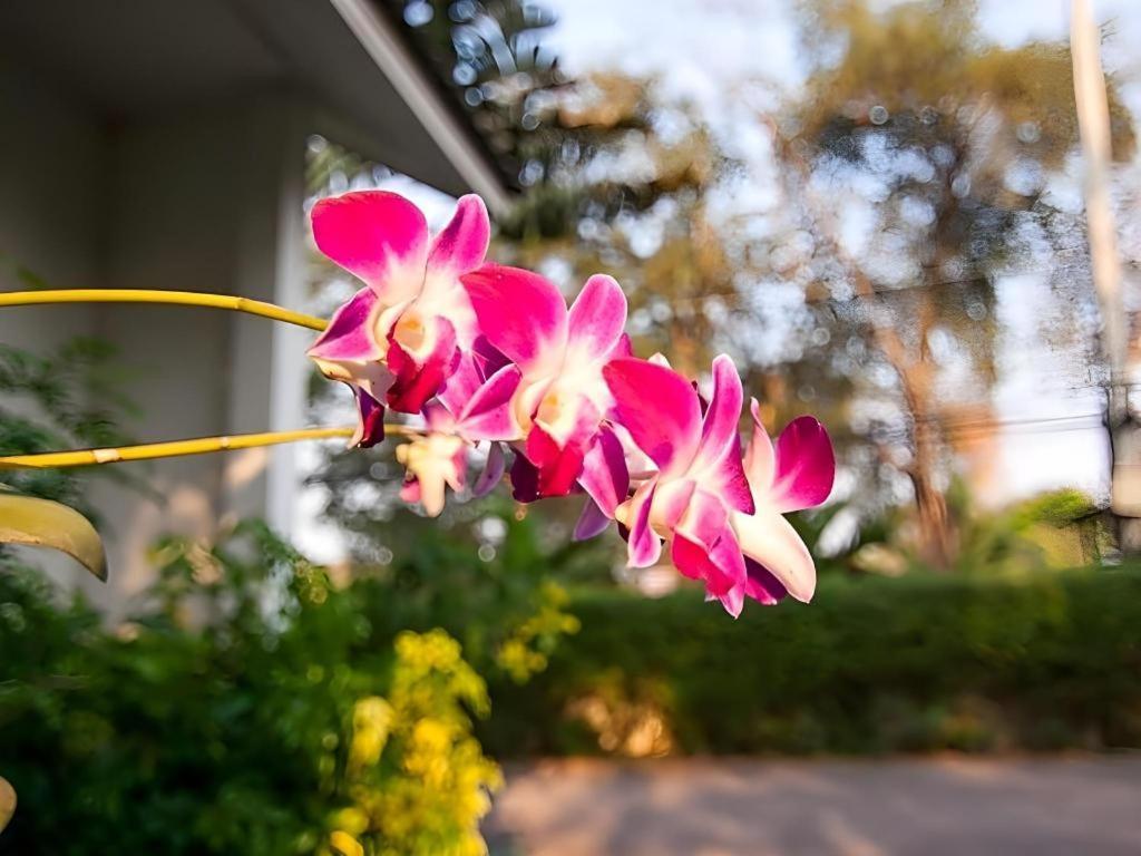 Chayada Garden House And Resort Hotel Nakhonratchasima Buitenkant foto